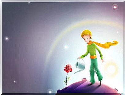 Little prince watering a rose