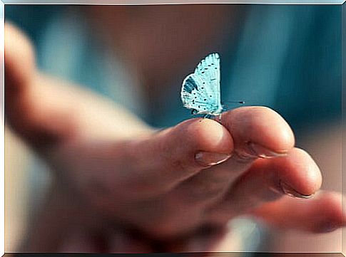 Hand with a butterfly