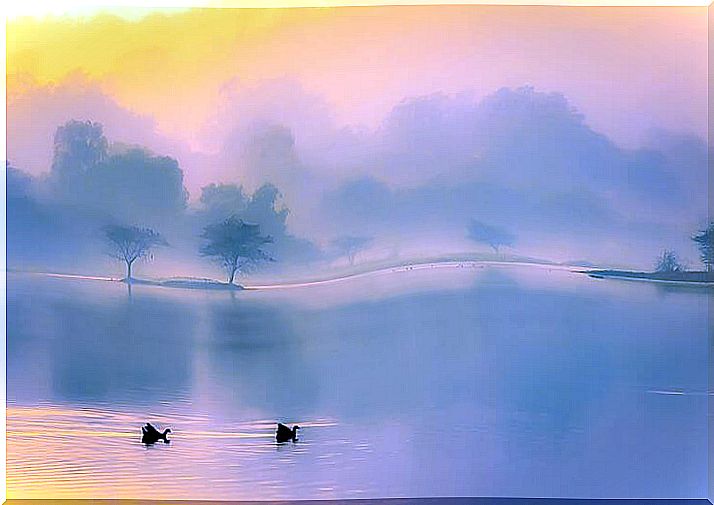 landscape with fog and two swans