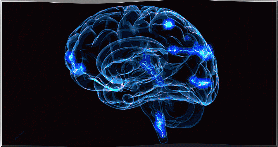 brain connecting thanks to the loci method